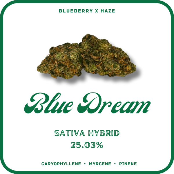 BLUE DREAM FLOWER SATIVA 25.03%