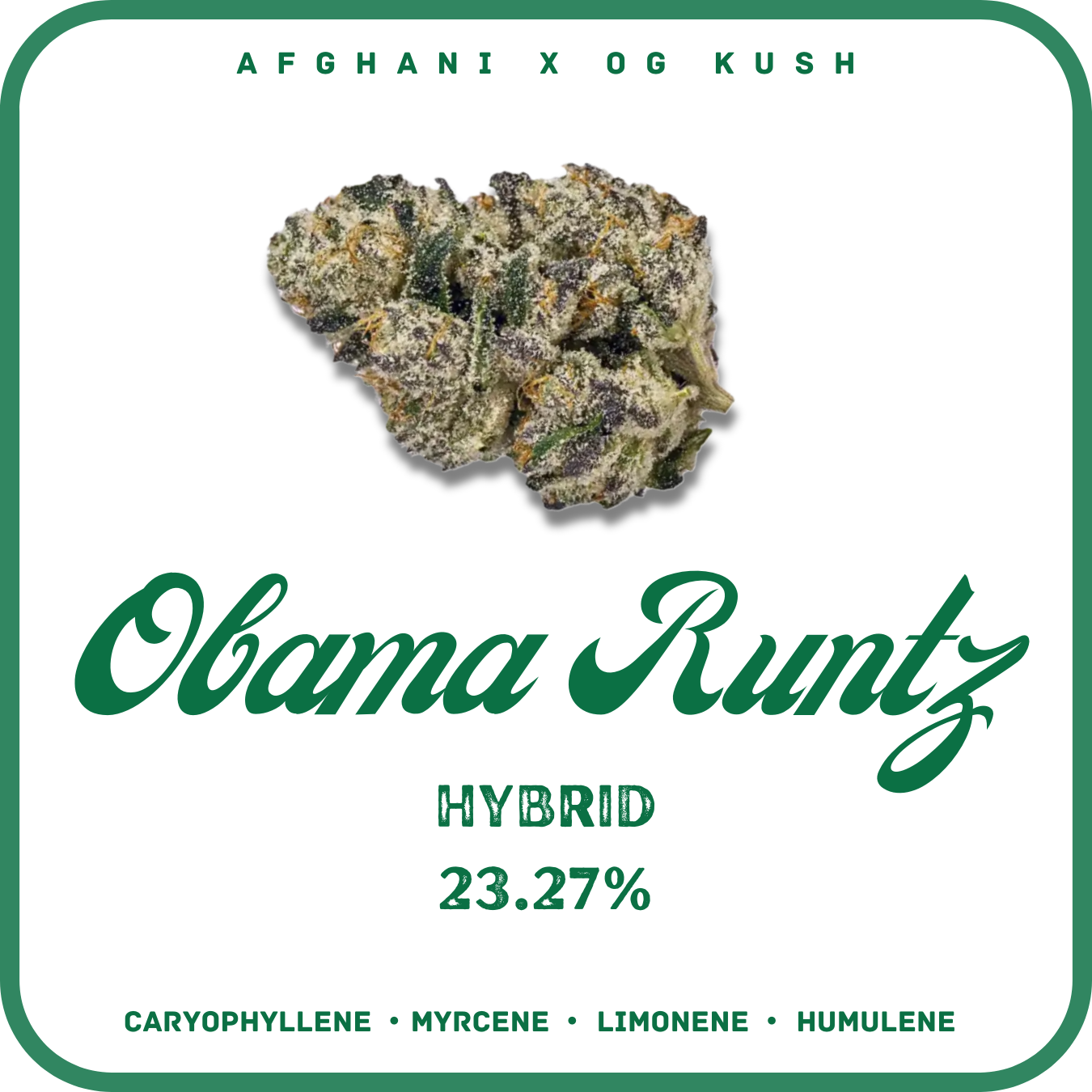 OBAMA RUNTZ FLOWER- INDICA 23.27%