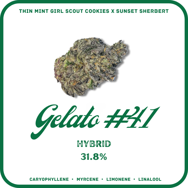 GELATO 41 FLOWER- HYBRID 31.8%