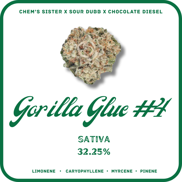 GORILLA GLUE #4- SATIVA 32.25%